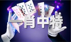 二中二包特是什么意义 - 二中二包特是什么意义