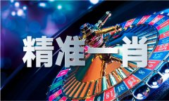 <b>提分宝典手机标识码犯错</b>