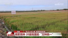 <b>“定制养分”促丰收、一块屏幕“管”万亩田…</b>