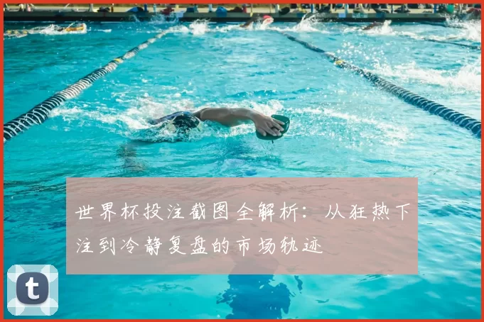 世界杯投注截图全解析:从狂热下注到冷静复盘的市场轨迹