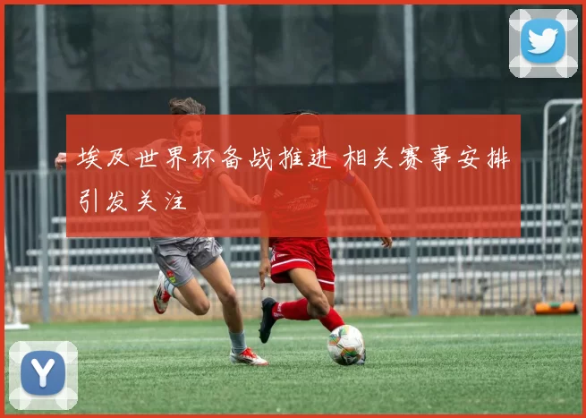 埃及世界杯备战推进 相关赛事安排引发关注