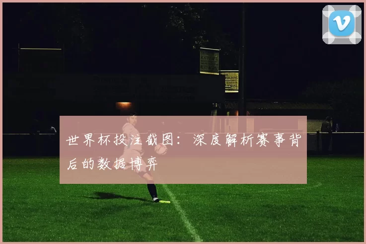 世界杯投注截图:深度解析赛事背后的数据博弈