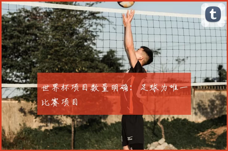 世界杯项目数量明确：足球为唯一比赛项目