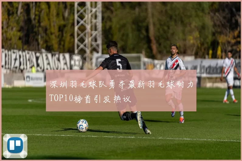 深圳羽毛球队勇夺最新羽毛球耐力TOP10榜首引发热议