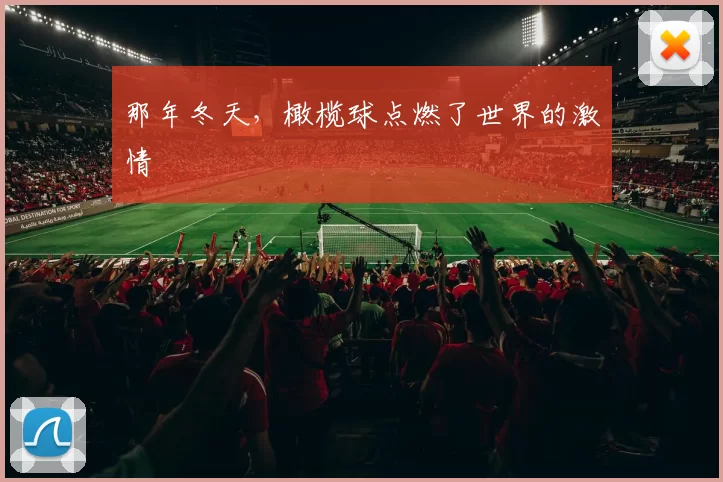 那年冬天,橄榄球点燃了世界的激情