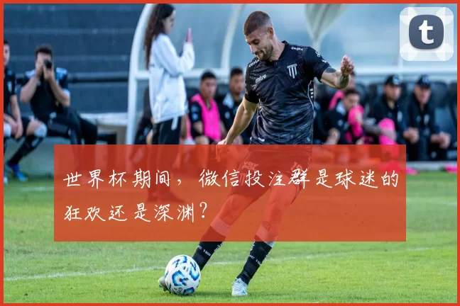世界杯期间,微信投注群是球迷的狂欢还是深渊?