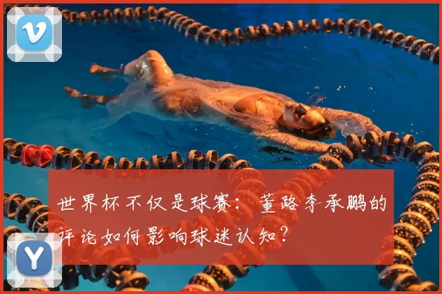 世界杯不仅是球赛：董路李承鹏的评论如何影响球迷认知？